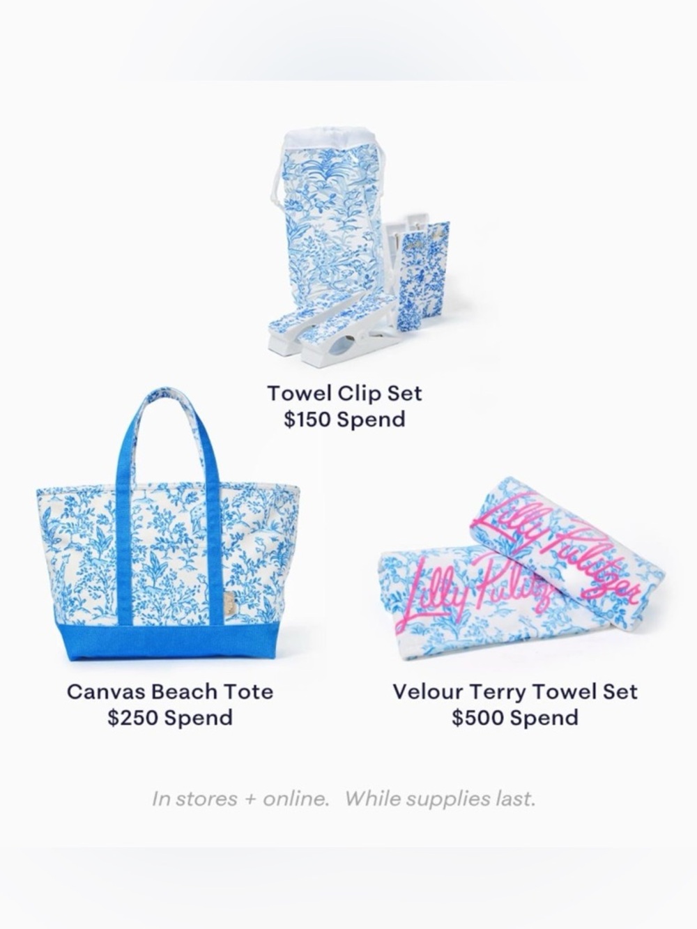 Beach Bundle: Tote, Towels and Towel Clips